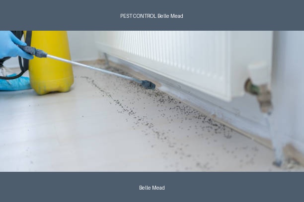 PEST CONTROL Belle Mead